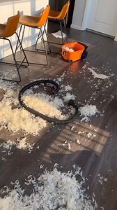 Did you know that dogs can live on a vegan diet? And still continue to smile... #veganamerica | Vegan America