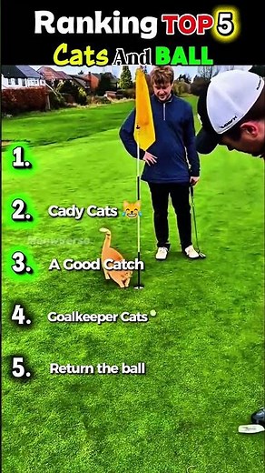 Top 5 Cats Playing With Balls 😹⚽ Funny Cat Moments #funny #cat
