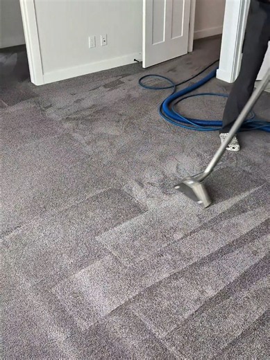 How busy am I? Carpet Cleaning | Cleaning Carpets
