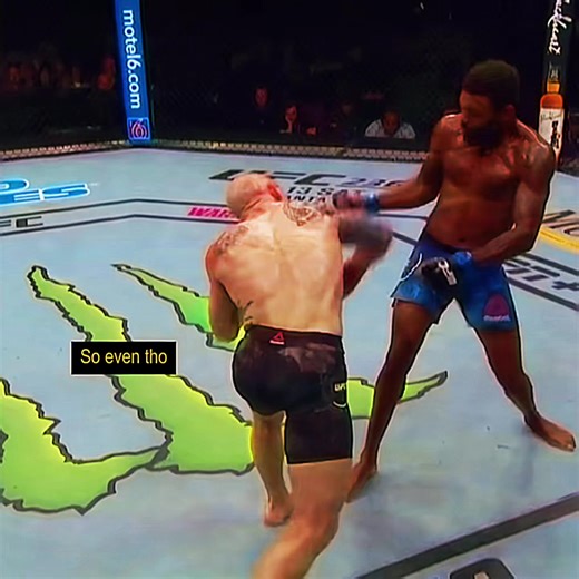 Michael Johnson UFC Fighter Highlights and Insights