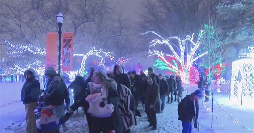 Dozens of families attend Detroit Zoo's "Zoo Years" countdown