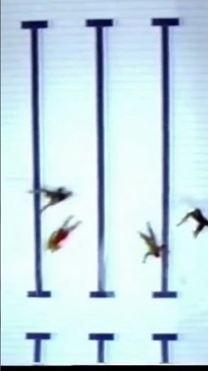 Athletes Fall Into Empty Pool Nightmare #shorts #viral #news