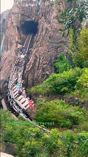 Expedition Everest Has That Ride Energy 😳🎢✨ #disney #rollercoaster #shorts