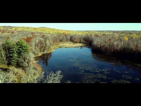 Turtle Lake, Wabeno WI: A Cinematic DJI Mini 2 Drone Film (4K Aerial)
