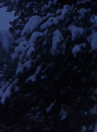 #vibe #digitalcamera #real