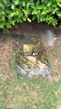 First client in 7 days. Zero followers. Zero experience. Here's exactly what I did 👇 #shorts