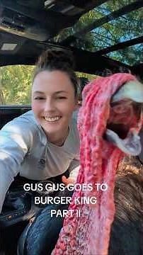 Gus Gus goes to Burger King PART ll #gusgus #petsindrivethru #funnypets