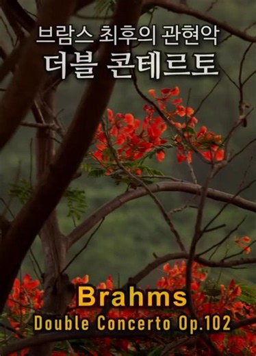 Brahms Double Concerto in A-Minor Op.102 / 브람스 더블 콘체르토 1악장 #fullscore