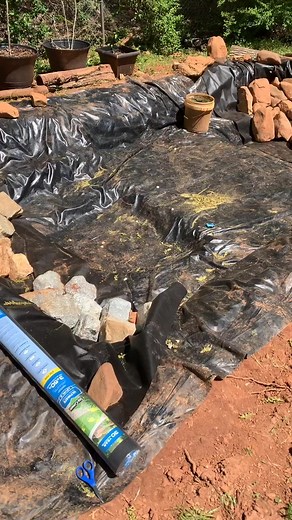 Alligator snapping turtle pond, redesigned #ponds #turtlepond #alligatorsnappingturtle #snappingturtle #pondbuilding #stayathome