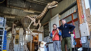 VIDEO: Making the Muttaburrasaurus (Supplied: National Museum of Australia)