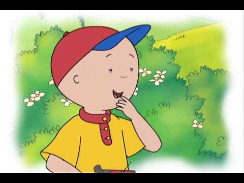 Caillou S04 E13 | Captain Caillou // The Loudest Noise // Caillou's First Wedding