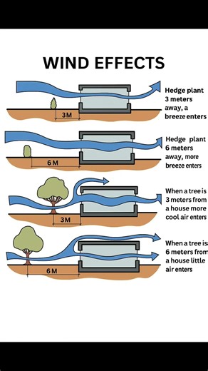 Basic Knowledge for Civil Engineering | Wind Effects | #Shorts #Building