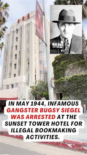 Grave Line Tours | "​\The Sunset Tower Hotel, perched on West Hollywood's Sunset Strip, has been a silent witness to numerous scandals throughout its storied... | Instagram