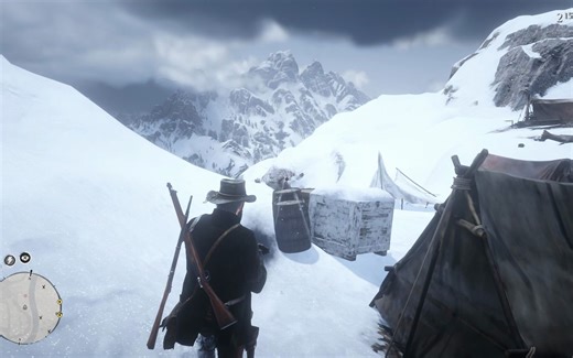 RDR2 美国毒物 全程无死眼无剪辑