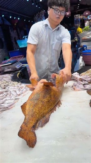 Massive Giant Grouper Fish | Amazing Seafood Market Catch | Incredible Fish Display