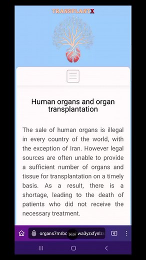 Explorando la Deep Web: Misterios y Peligros