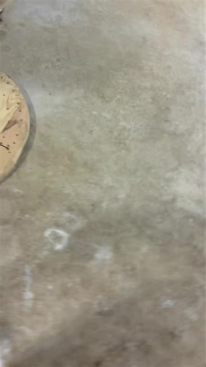 Fun way to test your trainee’s impulse control.. Test him around a dog getting groomed he’s never seen before. “ Timber” is very young & struggles mightily with impulse control.. We’ve worked hard on it & made some improvements. Hey Betty, I got a lot of problems, but dog training ain’t one of em. | Disciple K9