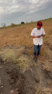 63K views · 641 reactions | Jeep gladiator pongámos lo a prueba #pongamosloaprueba #offroad #hispanosenusa #jeep #offroading #jeepgladiator #pumprimo | Pumprimo tv | Facebook