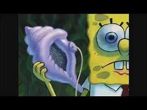 The Shell Has Spoken