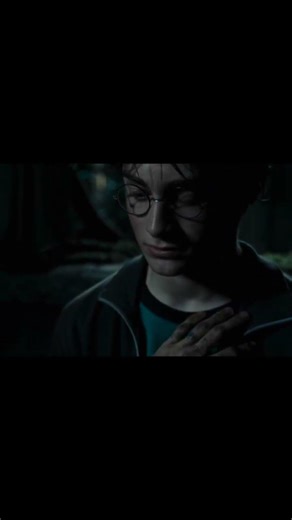 Counting Stars I Sirius/ Harry Potter edit #harrypotter #edit