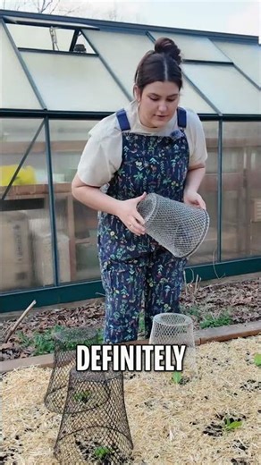 Dollar Tree Hack: Protect Cabbages from Moths & Worms! #shorts