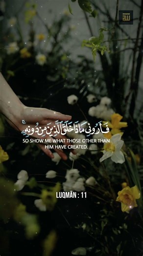 Beautiful Quran Recitation | THE WRONGDOERS ARE IN CLEAR ERROR | LUQMAN