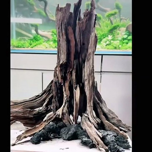 Aquarium stump natural driftwood cave