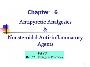 Chapter 6 - SlideServe