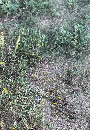 Exploradores Argentinos: Aventura en la Región Litoral