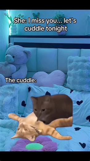 Cuddle Moments: Sweet Ways to Connect with Your Partner