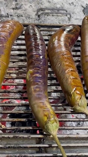 #christmas #cover #ishowspeedwannabe #cover #mango #dachshund