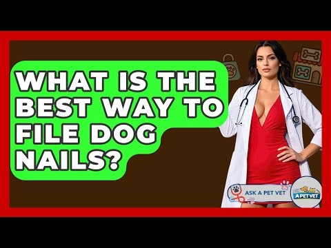 What Is The Best Way To File Dog Nails? - Ask A Pet Vet