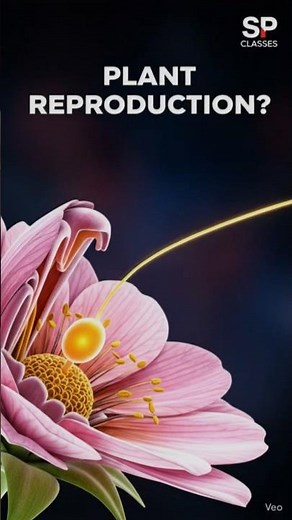 Plant Reproduction ka Science | Pollination se Fertilization #anatomy3d #Biology #neet #shorts