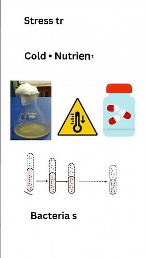 The Hidden Survivors: VBNC Cells Explained!