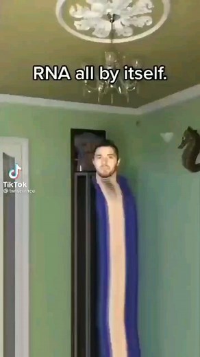 Science memes | The engineer | RNA VS DNA 😂 @ingenierie_ Follow @ingenierie_ for more 🙌 credits @/twtscience on Tik Tok . . . Link shop for science related merch . . .... | Instagram