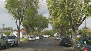 How many trees line San Diego’s streets, sidewalks? Tree inventory will find out