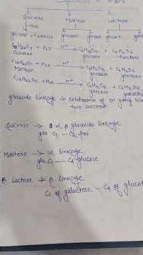 Disaccharides