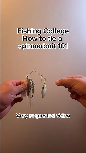 How to tie a spinnerbait #bassfishing #fishing
