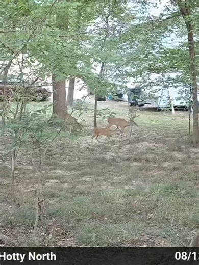 Moultrie Products on Reels