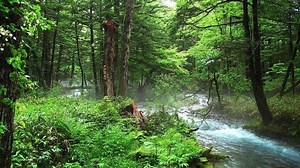 Ion âm là gì? Có tác dụng gì cho sức khỏe không?