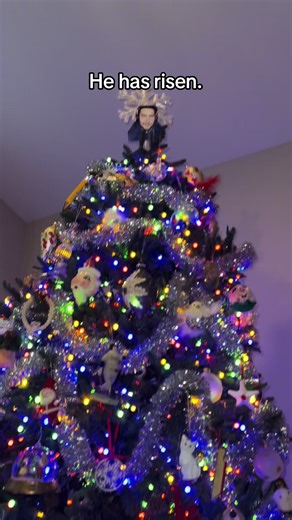 The only star worthy of being on the tree in this house #christmas #anucatittawan #merrychristmas #holidays #chestnutsroastingonanopenfire