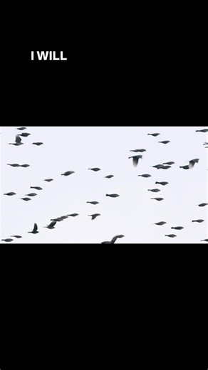 Still thinkin bout you | Gary Clark Jr