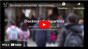 Docència compartida: Aprenentatge docent entre iguals per a l’atenció a la diversitat