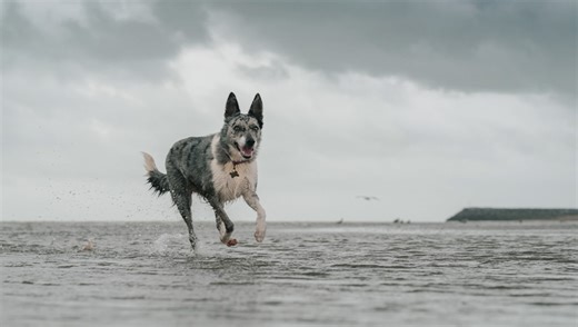 Get Better Control Over Your Lightroom Edits with These Masking Tools | Fstoppers