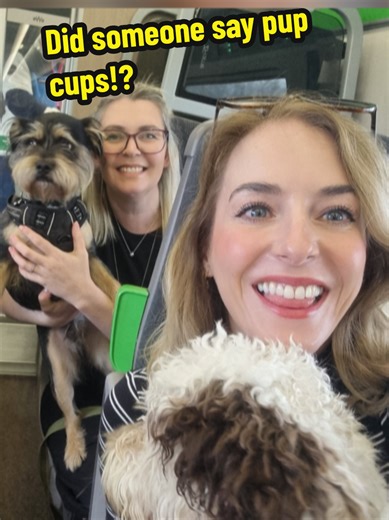 Took our boys on the train for their first pup cups and doggy cafe meet! #pupcups #cockapoo #doodles #adoptdontshop #rescuedog