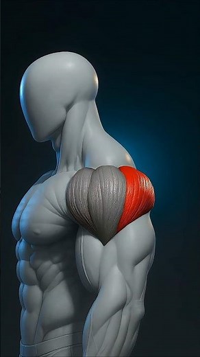 Your shoulders look collapsed because your rear delts need work. Let’s fix that.