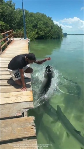 😂 Fishing FAILS That Went HILARIOUSLY Wrong! Funniest Moments Ever