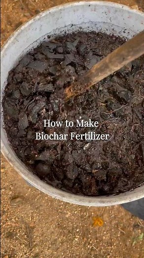 How to Make Biochar Fertilizer (10:1 Dilution Method)
