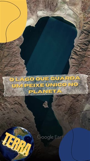 O Pyramid Lake, em Nevada, abriga o Cui-ui, peixe encontrado naturalmente apenas nesse lago. Após décadas de desvios de água reduzirem seu habitat e dificultarem sua reprodução, projetos de conservação ajudaram a recuperar a espécie. Hoje, esse lago no deserto preserva um ecossistema único. Você conhecia o Pyramid Lake? #pyramidlake #nevada #cuiui #natureza #geografia