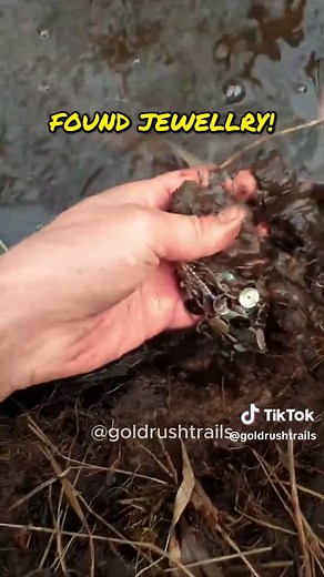 The Ultimate Guide to Metal Detecting in the United States